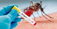 Casos de Dengue crescem em Iranduba e autoridades ligam sinal de alerta.